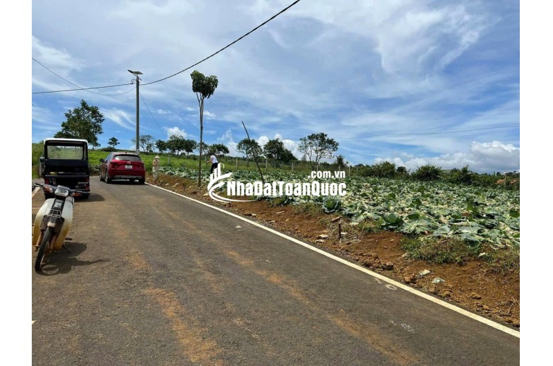 Cơ hội đầu tư sinh lời cao – dự án NaLi Chill - Homestay and BBQ vị trí vàng ngay tại Bảo Lộc